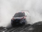 Rally Mexico 2010