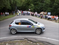 Rally Serbia 2011