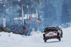 Rally Sweden 2017