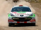 FIA IRC-ERC Fiat Rally - Za pamćenje!