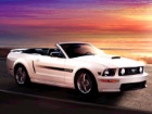 Ford Mustang - novine za 2009. godinu