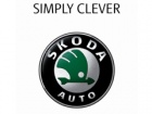 Škoda Auto: 2010. godina će biti rekordna